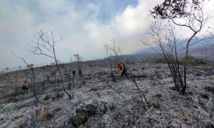 Lereng Gunung Arjuno Terbakar, Karhutla di TN Gunung Ciremai Makin Meluas