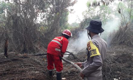 Manggala Agni KLHK Kerja Bersama Padamkan Karhutla Kalbar