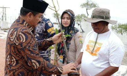 Menteri ATR/Kepala BPN Serahkan Tanaman Bakau dan Lepaskan 23.300 Benih Ikan ke Perairan Karimun