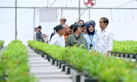 Tinjau Persemaian Mentawir, Presiden: Ini Komitmen Kita pada Lingkungan