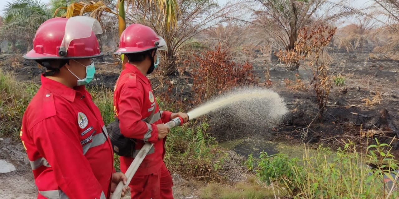 September: Siap Siaga Hadapi Puncak Kerawanan Karhutla
