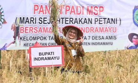 Berhasil Jaga Ketahanan Pangan di Indramayu, Generasi Milenial Beri Apresiasi ke Bupati Nina Agustina