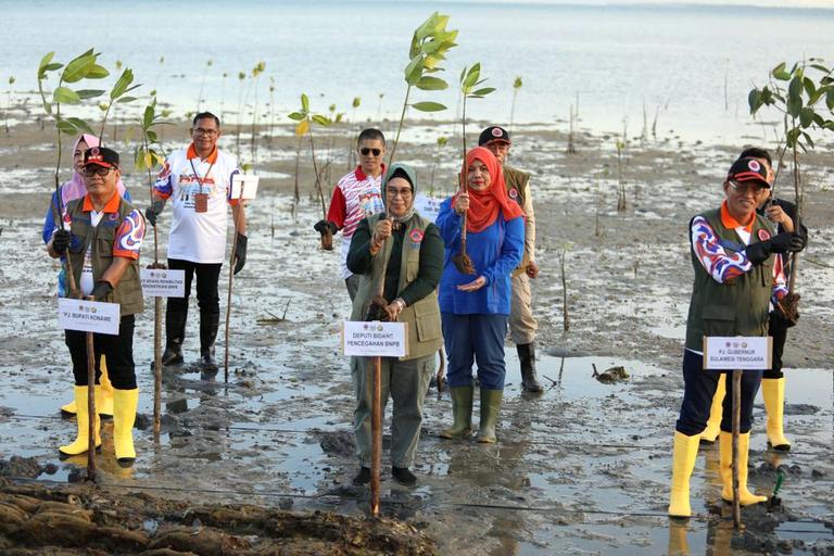 BNPB dan Pemprov Sultra Tanam 7.000 Bibit Mangrove Guna Kurangi Risiko Bencana