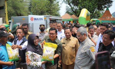 Kendalikan Inflasi, Pemda Didorong Ikut Jaga Stok Komoditas Beras