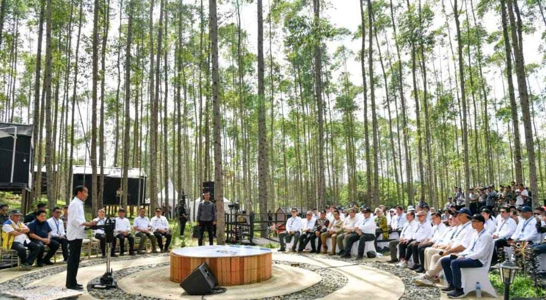 Presiden Jokowi Ajak Semua Pihak Ikut Serta Bangun IKN