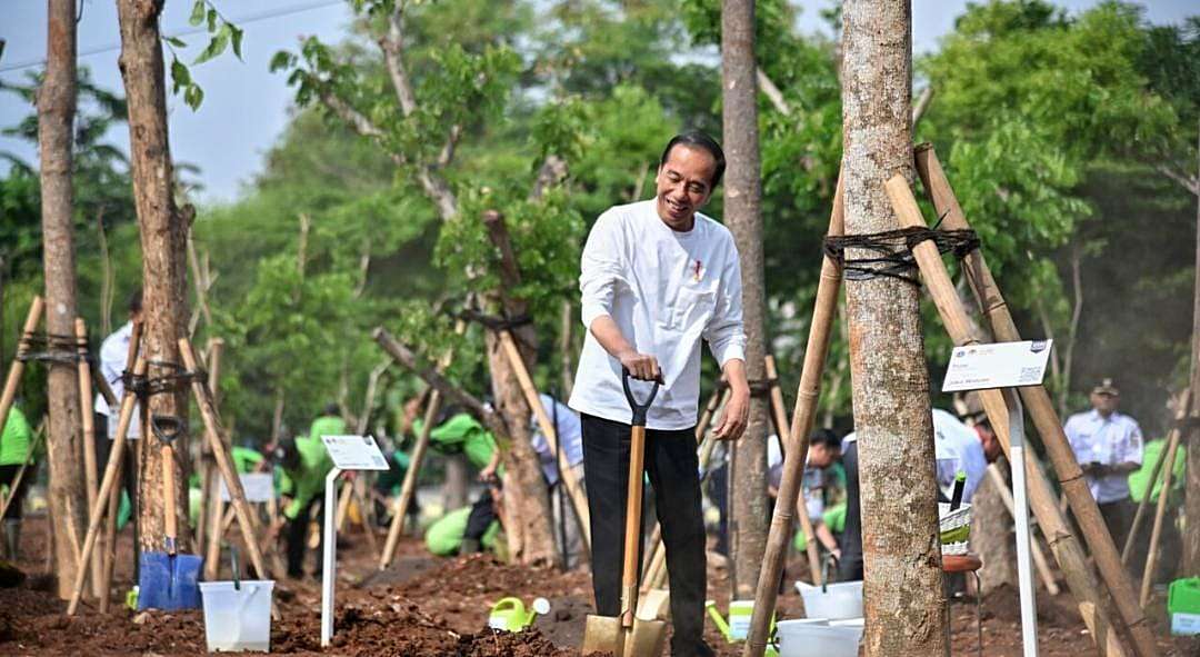 Tanam Pohon Serentak, Presiden Jokowi Tegaskan Langkah Nyata Atasi Perubahan Iklim