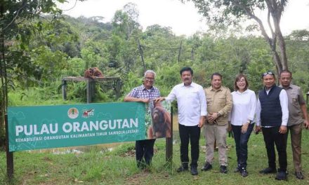 Lindungi Konservasi Satwa di Kalimantan, Menteri ATR/Kepala BPN Serahkan Sertipikat kepada Borneo Orangutan Survival Foundation