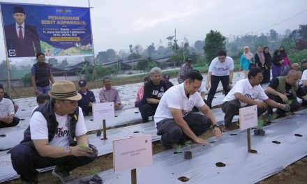 Tanam Asparagus, Menteri AHY Harap Model Reforma Agraria di Cianjur Dapat Diterapkan di Seluruh Indonesia