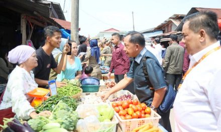 Mendagri Tito Interaksi dengan Pedagang, Cek Harga di Pasar Senggol Dumai
