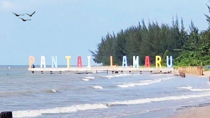 KONSER SUARA ALAM NUSANTARA Sebuah Gerakan Budaya Menanam Pohon  Kebangsaan untuk Merawat Bumi Nusantara