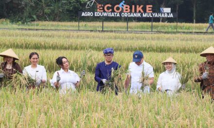 Wamendagri Bima Arya Tekankan Kemandirian dan Ketahanan Pangan dalam Panen Raya di Bogor