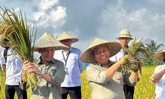 BPN Kabupaten Gianyar Gelar Panen Padi Organik Sekaligus Tandatangan Kerja Sama Implementasi Akses Reforma Agraria tahun 2025