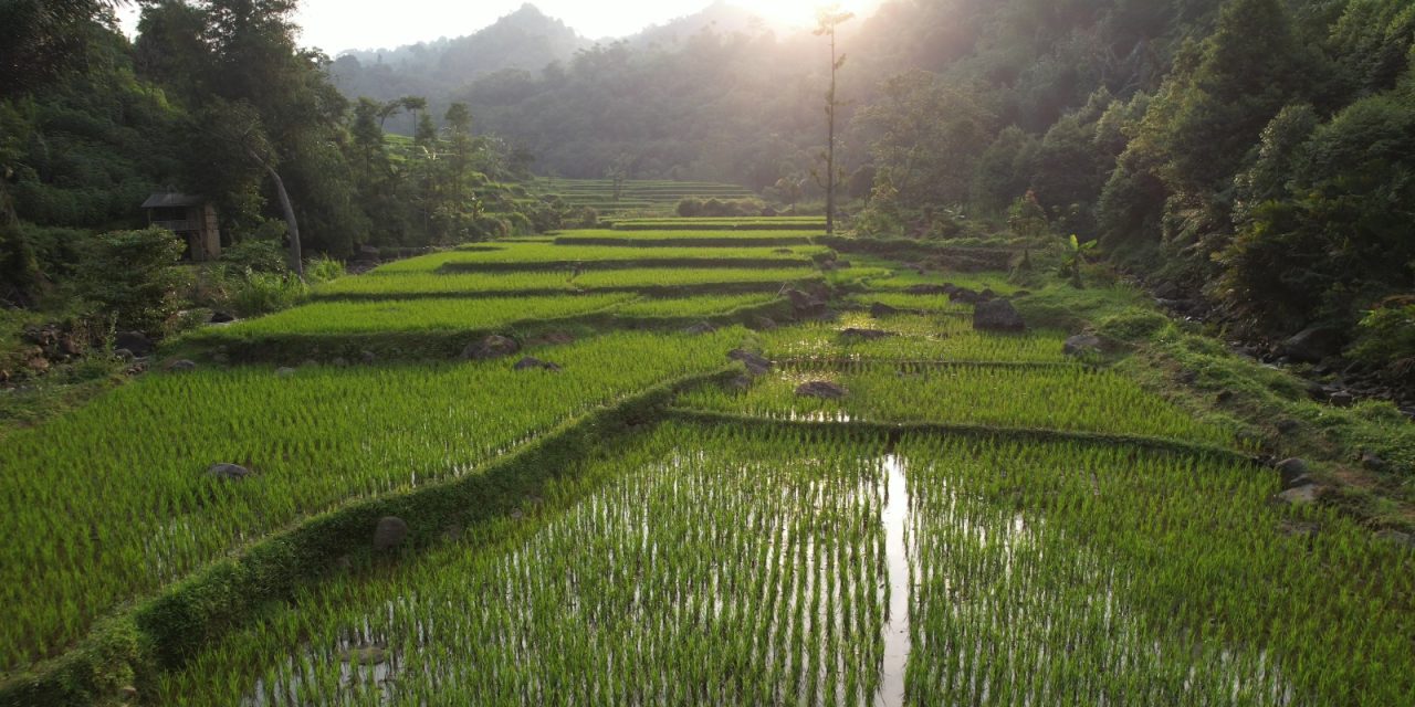 Pembangunan Harus Berkeadilan, Menteri Nusron: Reforma Agraria Jawab Ketimpangan Penguasaan dan Pemilikan Tanah