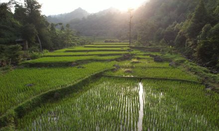 Pembangunan Harus Berkeadilan, Menteri Nusron: Reforma Agraria Jawab Ketimpangan Penguasaan dan Pemilikan Tanah