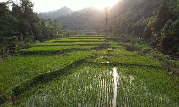Pembangunan Harus Berkeadilan, Menteri Nusron: Reforma Agraria Jawab Ketimpangan Penguasaan dan Pemilikan Tanah
