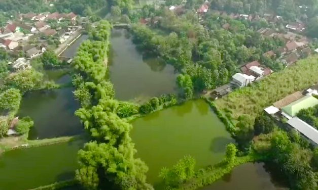 Mengenal Desa Rejoagung, Potensi Desa Meningkat Setelah Program Penataan Akses Reforma Agraria