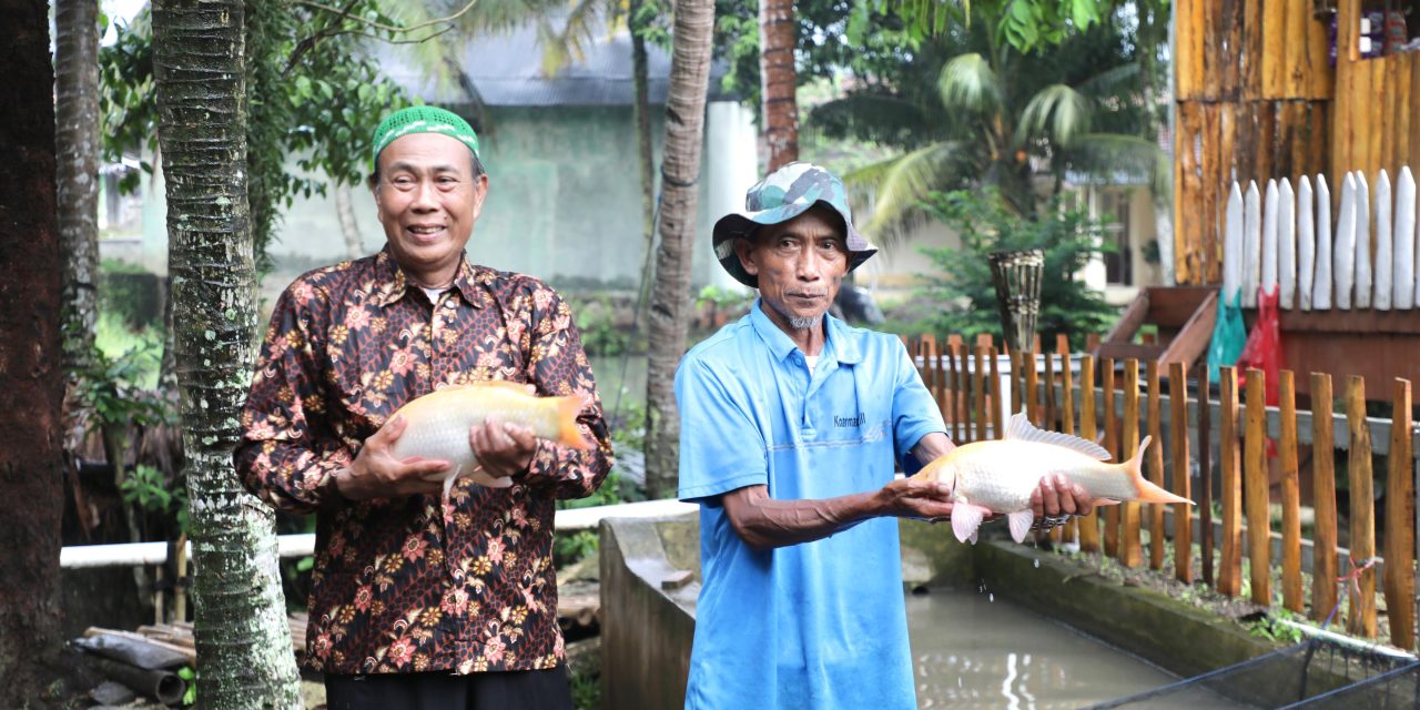 Tingkatkan Perekonomian Masyarakat, Kampung Reforma Agraria Desa Bandung Kembangkan Pembibitan dan Budidaya Ikan