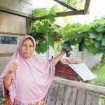 Bukan Hanya bagi Petani, Kampung Reforma Agraria Desa Duyu Juga Bantu Ekonomi Warga Sekitar